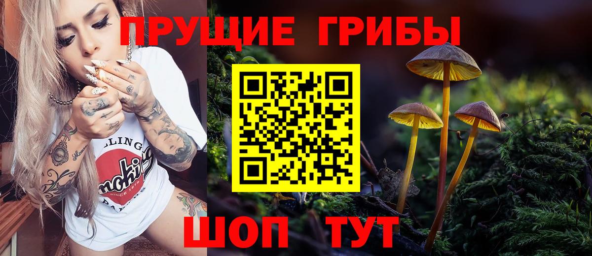 Сердобск  Псилоцибиновые грибы ЛСД  наркошоп  Вход с VPN 