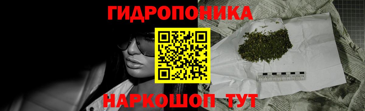 Бошки Шишки тримм  Вход с VPN  Бошки Шишки планчик  Сердобск  Марихуана Bruce Banner 
